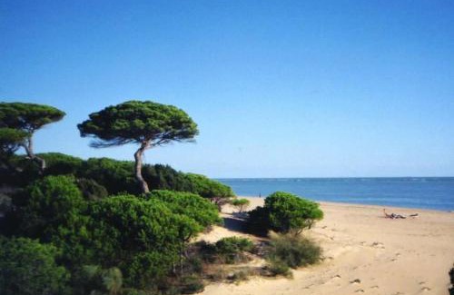 El Portil Apartment | Ático del Portil