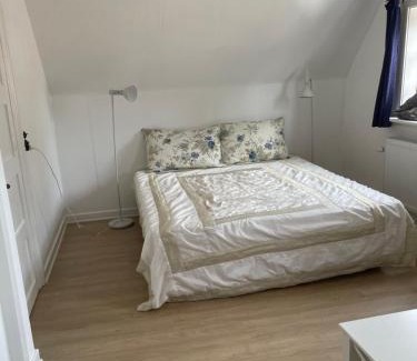 Osterlars Apartment | ØsterLars blue Pearl