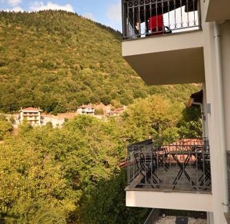 Megalo Chorio Apartment | Αρχοντικό