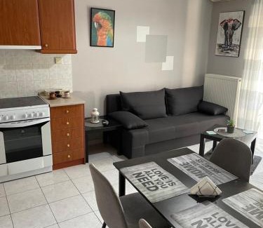 Serres Apartment | Διαμέρισμα με θέα σε πάρκο!