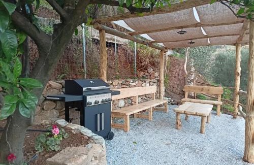 Zagora-Mouresi House | Ελαιώνας - Solar Energy House