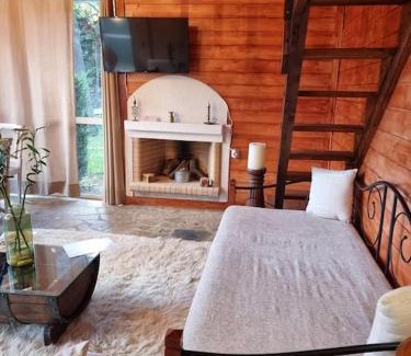 Meteora Ski Chalet | Ξύλινο Chalet Κτήμα Παππά