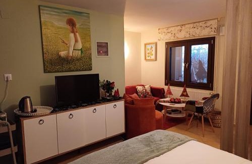 Karpenisi Apartment | Το Σπίτι Της Ευτυχίας στούντιο