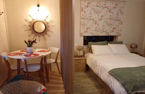 Karpenisi Apartment | Το Σπίτι Της Ευτυχίας στούντιο