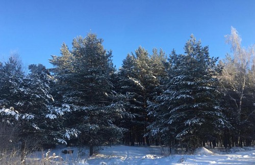 Yaroslavl Apartment | Дом в Парково