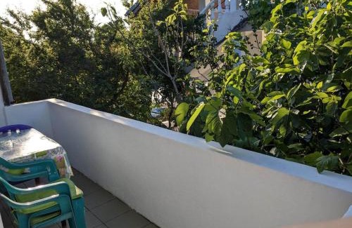 Sinemoretz House | Цвета
