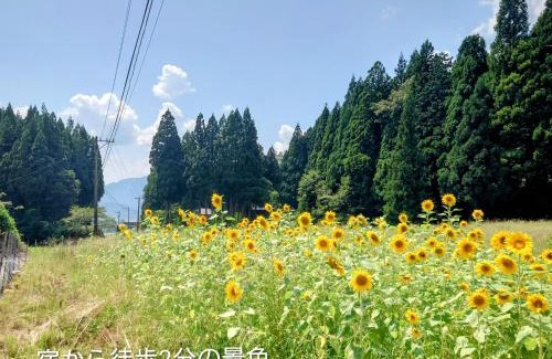Katsuyama House | 勝山ファミリーログハウス今日のおうち