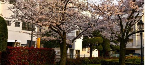 Matsuyama House | 媛楽園 松山中心地及び道後温泉に近い家族やグループ旅行の多人数が泊まれる快適な宿