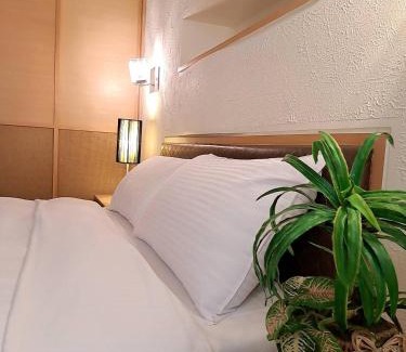 Yuchi Bed & Breakfast | 日月潭水社海民宿