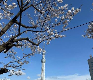 Asakusa House | 東京雷門ー千の森Asakusa
