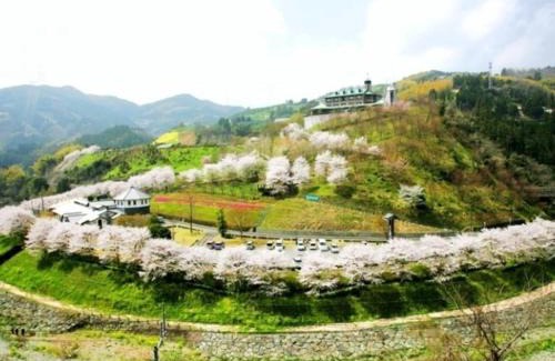 Ehime Prefecture Hotel | 花の森ホテル