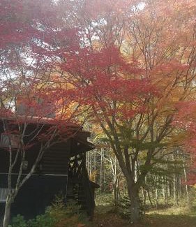 Nagano Apartment | 貸切別荘Madoyaのお宿 Loiseau bleu Iizuna