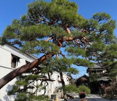 Omama Villa | 銅の夢