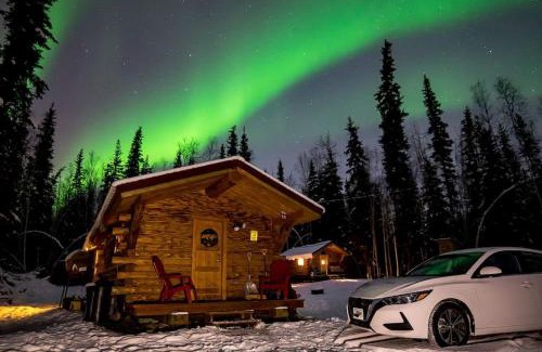 Fairbanks House | 1 Bd. Deluxe Log DRY Cabin| Views Northern Lights!