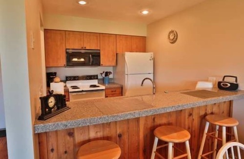 Harbor Springs Condo | 1 Bedroom Trout Creek Condo #37. Close to Recreation Field