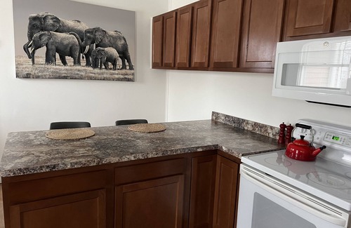 Cheboygan Apartment | 1 Bedroom with King bed. Full bath. Spacious apartment with a Safari theme.