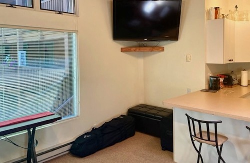 Aspen Apartment | 1 BEDRROOM CONDO, ASPEN CORE, GREAT LOCATION
