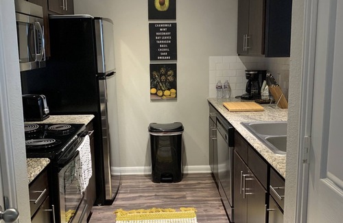Riverside Terrace Apartment | 1 BR @ Med Center with Hermann Park View