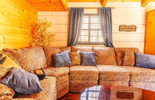 Hendersonville Cabin | {1 of 4} Cozy Cabins Near DuPont State Park! Pet Friendly!
