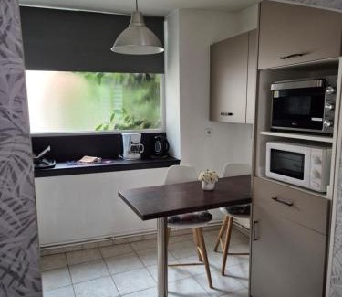 Niederbronn-les-Bains Apartment | 1 rue des romains studio meublé clauss