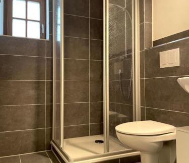 Geisenheim Apartment | 1- Zimmerappartment