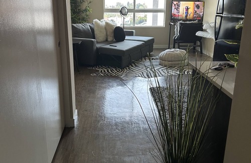 Mid-Wilshire Apartment | 10 min to Hollywood comfy studio in mid city (pet friendly)