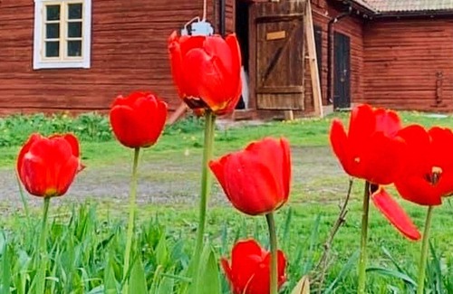 Hedesunda House | 10 person holiday home in Hedesunda