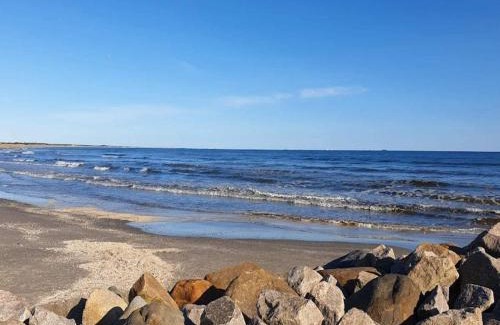 Aalbaek House | 10 person holiday home in Ålbæk-By Traum