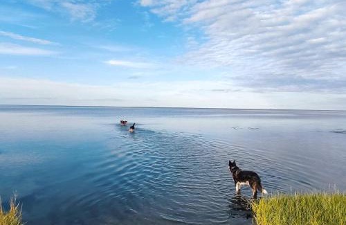 Ørsted House | 10 person holiday home in Ørsted