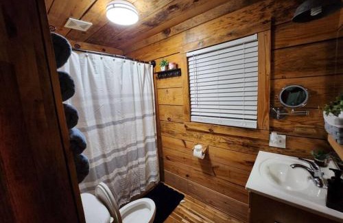 Guntersville Ski Chalet | 10. swan creek cabin
