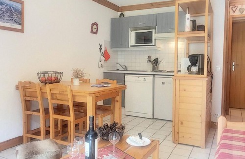 Saint-Martin-de-Belleville Apartment | 100m from ski slopes, view mountain/mountain, terrace, tv, ski locker, 32m²