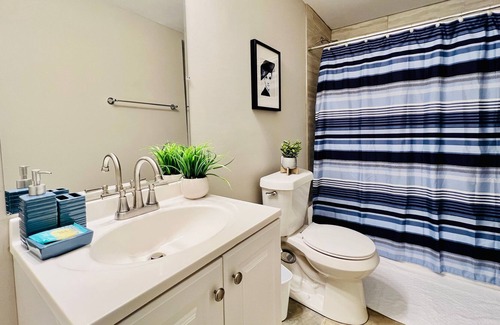 Pittsburgh Apartment | 1087 Windsor