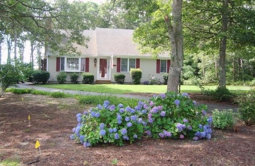 Harwich Center House | 11 Cranwood Road Harwich Cape Cod- -Aoibhneas