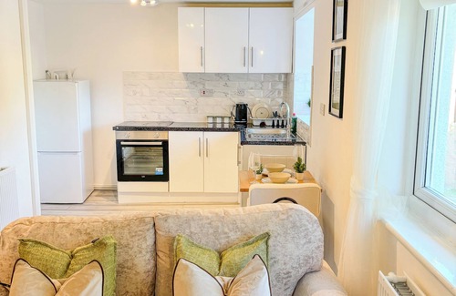 Manchester Apartment | 1124 Manchester Studio Apartments