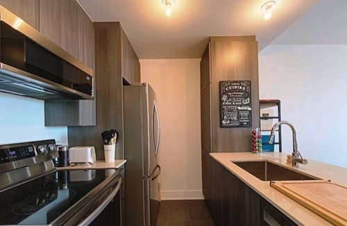 Maisonneuve Apartment | #114 Splendid Unit on 2 Floors, Terrace, Parking