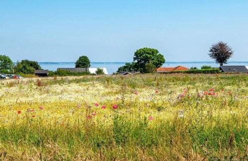 Fynshav House | 12 person holiday home in Haderslev