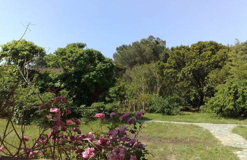 Isolella Villa | 125 meters from a family beach, villa in garden.