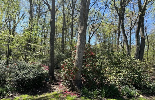 Lanham House | 14 minutes to University of Maryland, Close to Washington DC/Tyson's Corner