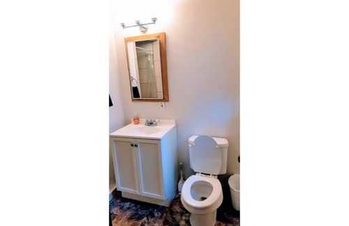 Y Area Apartment | 14-The Curious Cub pet friendly studio #14