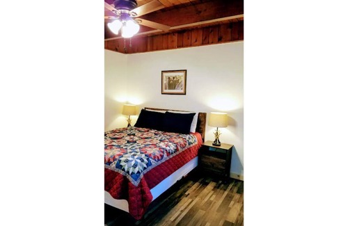 Y Area Apartment | 14-The Curious Cub pet friendly studio #14