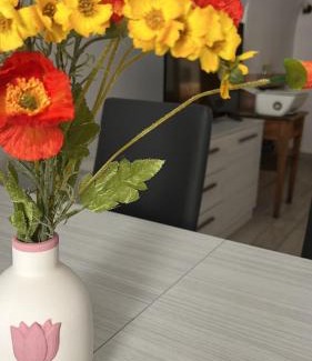 L'Aquila Apartment | 141 VIA ROMA