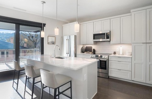 Downtown Asheville House | 145 Biltmore Ave Unit 304