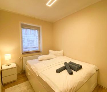 Eutritzsch Apartment | 163 Zentrum Nord Apartment Messe,HBF,A14