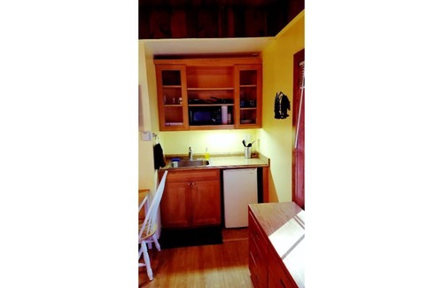 Y Area Apartment | 17-The Rubicon pet friendly studio #17