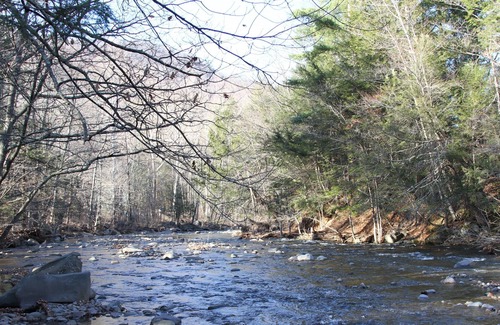 Phoenicia House | 1909 Home Nestled In Woodland Valley Steps Away From Beautiful Trout Stream