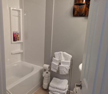 Fort Gary Apartment | 197 Le Maire Street