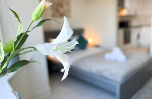 Rutherglen Apartment | 1Bd Glasgow Apartment