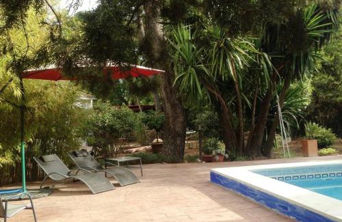 Espartinas Apartment | 1BR Apartment in the heart of nature near Seville with swimming pool and parking