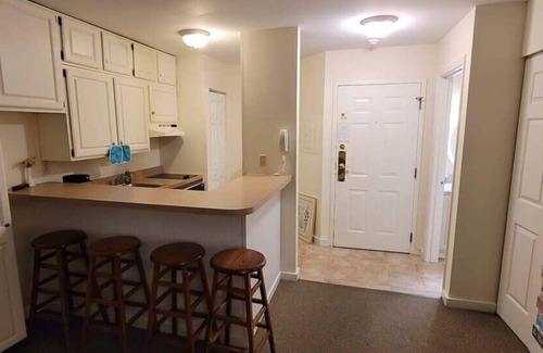 Hancock Apartment | 1st Floor Mountain View Suite Ski On/Off At Jiminy- Fully Redone Decor