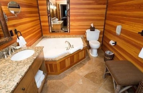 Lake Placid Resort | 2/2.5 Bed-Bath Whiteface Lodge-Lake Placid